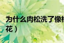 为什么肉松洗了像棉花（为什么肉松洗了像棉花）