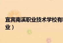 宜宾南溪职业技术学校有哪些专业（南溪二中职高有什么专业）