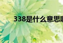 338是什么意思啊（338是什么意思）