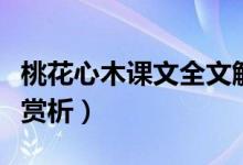 桃花心木课文全文解析（桃花心木课文原文及赏析）