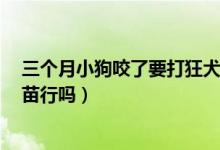 三个月小狗咬了要打狂犬疫苗（被小狗咬了打了3针狂犬疫苗行吗）