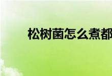 松树菌怎么煮都好吃（松树菌做法）