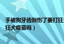 手被狗牙齿刮伤了要打狂犬疫苗吗（手被狗牙齿刮了需要打狂犬疫苗吗）