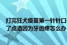 打完狂犬疫苗第一针针口有点疼（打了狂犬疫苗第二针了喝了点酒因为牙齿疼怎么办）