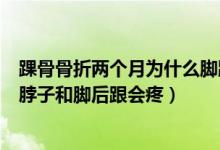 踝骨骨折两个月为什么脚跟肉会疼（左脚踝骨骨折为什么脚脖子和脚后跟会疼）