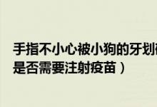 手指不小心被小狗的牙划破了（食指被小狗牙齿划破表皮未是否需要注射疫苗）