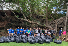 学生通过 heiau 清理与社区建立联系