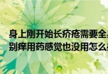 身上刚开始长疥疮需要全身抹药吗（身上长疥疮每天晚上特别痒用药感觉也没用怎么办）