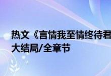 热文《言情我至情终待君归魏时锦霍衍》佚名开全文阅读/大结局/全章节