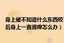 身上被不知道什么东西咬了特别痒（好像是被什么东西咬过后身上一直很痒怎么办）