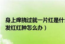 身上痒挠过就一片红是什么原因（身上痒挠了以后会一块块发红红肿怎么办）