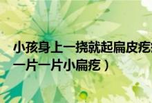 小孩身上一挠就起扁皮疙瘩为啥（为什么孩子身上挠的起了一片一片小扁疙）