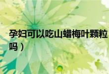 孕妇可以吃山蜡梅叶颗粒（孕妇感冒能服用吃山蜡梅叶颗粒吗）