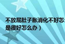 不放屁肚子胀消化不好怎么办（肚子总胀屁不臭感觉消化不是很好怎么办）