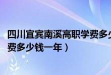 四川宜宾南溪高职学费多少（2022宜宾南溪职业技术学校学费多少钱一年）