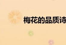 梅花的品质诗句(梅花的品质)