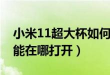 小米11超大杯如何手势放大（小米11放大功能在哪打开）