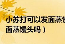 小苏打可以发面蒸馒头吗比例（小苏打可以发面蒸馒头吗）