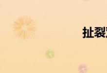 扯裂双语例句