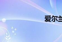 爱尔兰双语例句