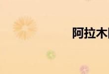 阿拉木图双语例句