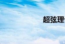 超弦理论双语例句