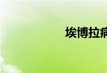 埃博拉病毒双语例句