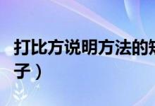 打比方说明方法的短句（打比方说明方法的句子）