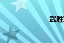 武胜双语例句