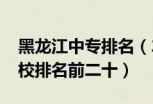 黑龙江中专排名（2022最新黑龙江省中专学校排名前二十）