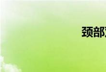 颈部双语例句