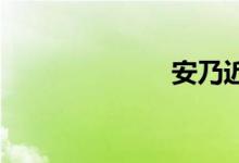 安乃近双语例句