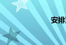安排双语例句