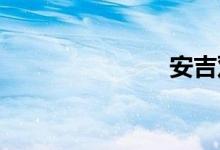 安吉双语例句