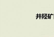 井陉矿区双语例句