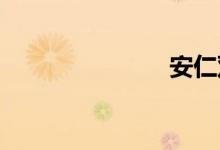 安仁双语例句
