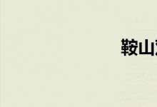 鞍山双语例句