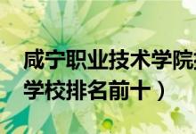 咸宁职业技术学院排名（2022最新咸宁中专学校排名前十）