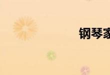 钢琴家双语例句