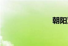 朝阳双语例句