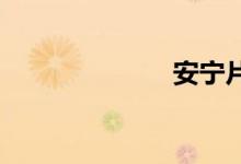 安宁片双语例句