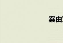 案由双语例句