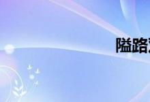 隘路双语例句