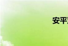 安平双语例句