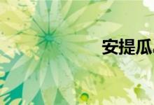 安提瓜岛双语例句