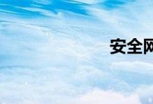 安全网双语例句