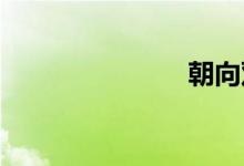 朝向双语例句