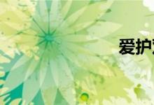 爱护双语例句