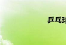 乒乓球双语例句