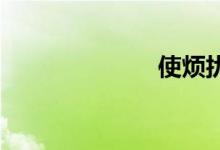 使烦扰双语例句